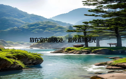 放在室内明亮处, 避免直射阳光