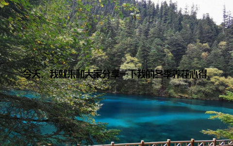 今天, 我就来和大家分享一下我的冬季养花心得, 盘点一下那些冬季最适宜种植的盆栽植物, 让我们一起在这个寒冷的冬天, 用绿色温暖心灵吧! 记得去年冬天, 我家的阳台就像一个小小的植物园, 那些绿油油的盆栽让我感受到了春天的气息