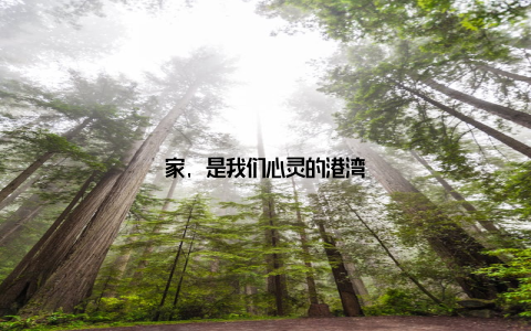 家, 是我们心灵的港湾