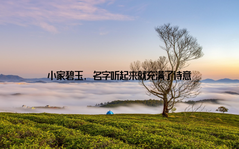 小家碧玉, 名字听起来就充满了诗意
