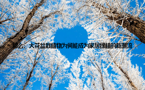 那么, 大花盆栽植物为何能成为家居绿植的新潮流呢? 大花盆栽植物的美艳花朵能够为家居环境带来视觉上的享受