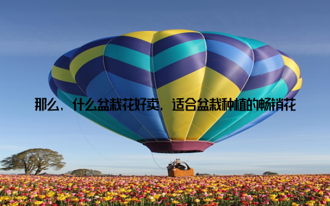 那么, 什么盆栽花好卖, 适合盆栽种植的畅销花卉品种推荐有哪些呢? 让我们一起来看看吧! 一、多肉植物萌萌哒的小可爱关键词多肉植物、好卖、畅销花卉品种多肉植物, 以其独特的造型和易于养护的特性, 成为了近年来最受欢迎的盆栽花卉之一