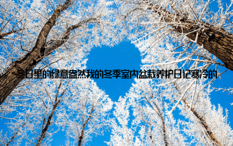 冬日里的绿意盎然我的冬季室内盆栽养护日记寒冷的冬季, 户外的大树都换上了银装, 而我家里的那一抹绿意, 却成为了我心中最温暖的风景