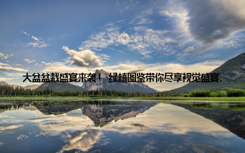大盆盆栽盛宴来袭! 绿植图鉴带你尽享视觉盛宴, 为家居生活添一抹清新随着生活节奏的加快, 越来越多的年轻人开始关注家居环境的改善