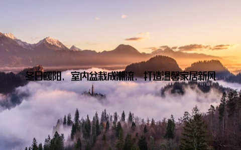 冬日暖阳, 室内盆栽成潮流, 打造温馨家居新风尚在这个寒冷的冬季, 你是否也渴望一抹绿意, 为家居生活增添一份温馨与活力? 季节性盆栽, 冬季室内盆栽成了热门, 让我们一起打造温馨家居新潮流, 让家的温暖无处不在