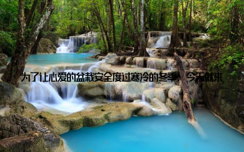 为了让心爱的盆栽安全度过寒冷的冬季, 今天就来为大家冬日盆栽保暖的秘籍塑料袋的巧妙运用, 让您的盆栽温暖过冬无忧! 一、塑料袋的优势 隔温保温塑料袋具有良好的隔热性能, 可以有效阻挡外界寒冷空气的侵入, 为盆栽提供一个温暖的小环境