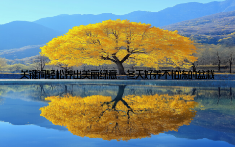 关键词轻松养出美丽绿意, 冬天好养不怕冻的盆栽有很多, 只要掌握正确的养护方法, 就能让它们在寒冷的冬季依然保持美丽绿意