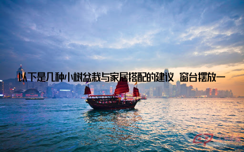 以下是几种小树盆栽与家居搭配的建议 窗台摆放一盆仿真小树, 既能增加窗台的美观, 又能起到遮挡阳光、保护隐私的作用