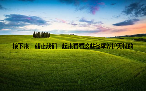 接下来, 就让我们一起来看看这些冬季养护无忧的抗寒盆栽植物吧! 关键词冬季养护无忧抗寒盆栽植物推荐 绿萝绿萝可是个全能选手, 不仅好养, 而且净化空气的能力超强