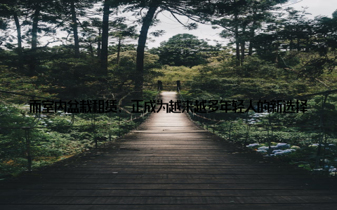 而室内盆栽租赁, 正成为越来越多年轻人的新选择, 它不仅让家居环境焕发生机, 更让我们的生活多了一份清新与舒适