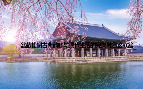 一、盆栽松树古典韵味与现代生活的完美融合这款盆栽松树, 以其古朴的造型、苍翠的枝叶, 将古典韵味与现代生活完美融合