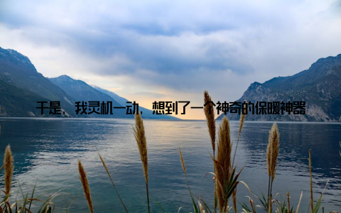 于是, 我灵机一动, 想到了一个神奇的保暖神器塑料袋! 接下来, 就让我来给大家详细介绍一下我的这个创意吧