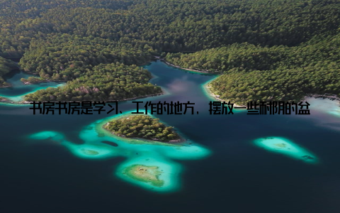 书房书房是学习、工作的地方, 摆放一些耐阴的盆栽, 如花烛、花叶芋等, 既能美化环境, 又能提高学习、工作效率