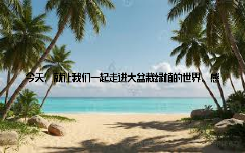 今天, 就让我们一起走进大盆栽绿植的世界, 感受那份独特的生机与活力! 大盆栽绿植名称图片, 带你领略自然之美 想象一下, 走进一个充满绿意的空间, 那些形态各异的大盆栽绿植映入眼帘, 仿佛置身于大自然之中