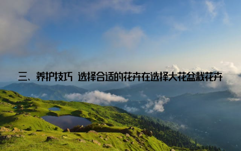 三、养护技巧 选择合适的花卉在选择大花盆栽花卉时, 要根据自己的喜好和家居环境来挑选, 确保花卉与家居风格相协调