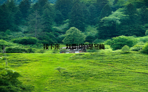 接下来, 我要说的是冬梅