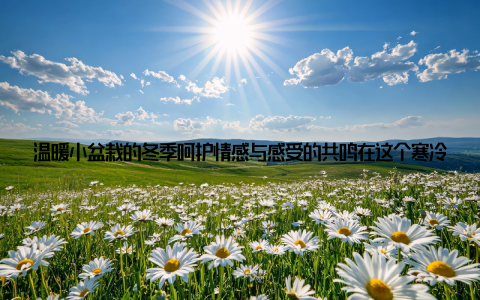 温暖小盆栽的冬季呵护情感与感受的共鸣在这个寒冷的冬天, 小盆栽就像是我们家的守护者, 它们用生命诠释了坚韧与顽强