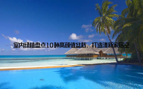 室内绿植盘点10种高颜值盆栽, 打造清新家居空间, 让你的家焕发生机! 随着生活节奏的加快, 越来越多的年轻人开始注重家居环境的舒适与美观