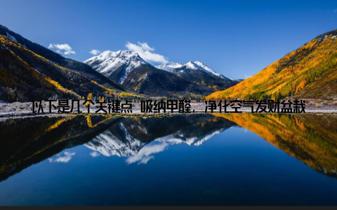 以下是几个关键点 吸纳甲醛, 净化空气发财盆栽具有强大的空气净化能力, 能有效吸收室内的甲醛、苯等有害物质, 让你的家居环境更加清新、健康