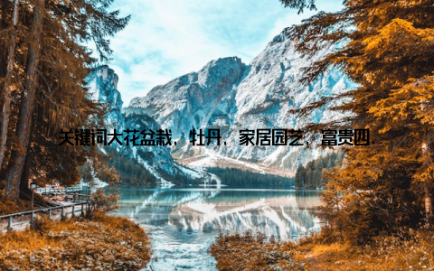 关键词大花盆栽, 牡丹, 家居园艺, 富贵四、热烈向日葵, 阳光满溢向日葵代表着阳光、快乐和希望, 是大花盆栽中的热门选择