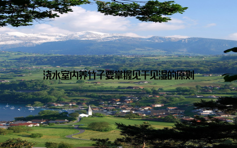 浇水室内养竹子要掌握见干见湿的原则