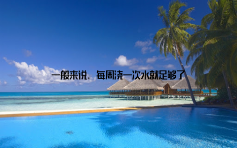 一般来说, 每周浇一次水就足够了