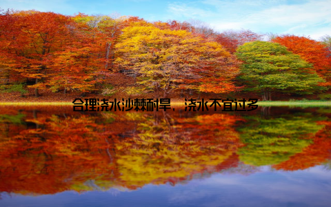 合理浇水沙棘耐旱, 浇水不宜过多