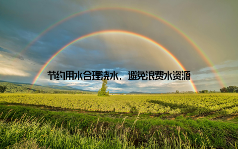 节约用水合理浇水, 避免浪费水资源