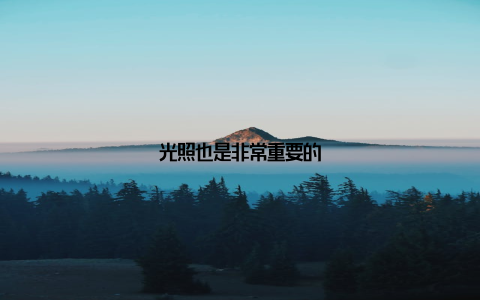 光照也是非常重要的