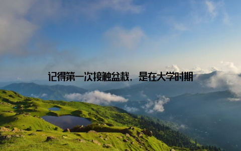 记得第一次接触盆栽, 是在大学时期