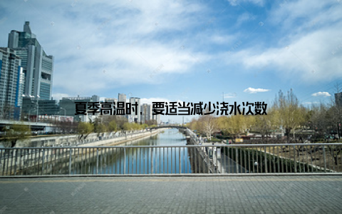 夏季高温时, 要适当减少浇水次数