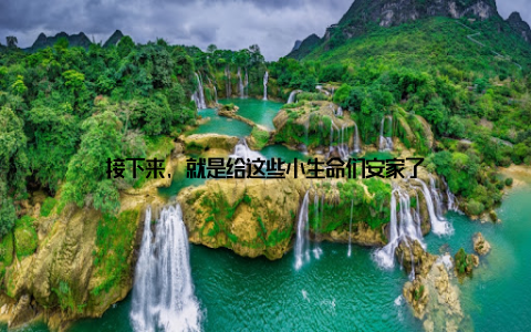 接下来, 就是给这些小生命们安家了