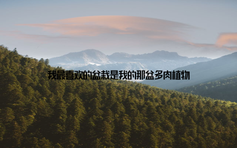 我最喜欢的盆栽是我的那盆多肉植物