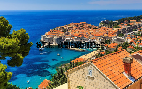 接下来, 就是给植物搭配色彩