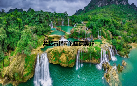 盆栽石榴花的寓意美好