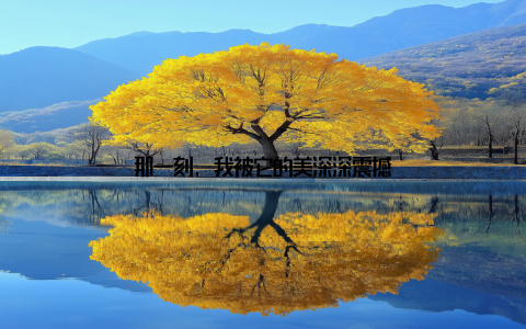 那一刻, 我被它的美深深震撼