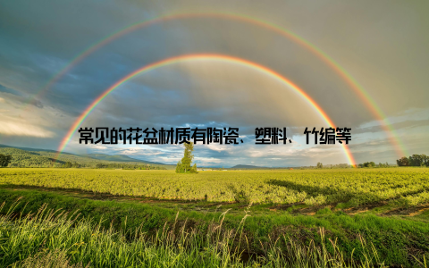 常见的花盆材质有陶瓷、塑料、竹编等