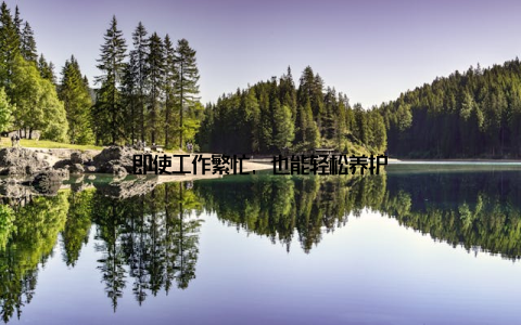 即使工作繁忙, 也能轻松养护