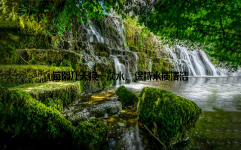 每隔几天换一次水, 保持水质清洁