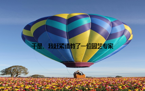 于是, 我赶紧请教了一位园艺专家