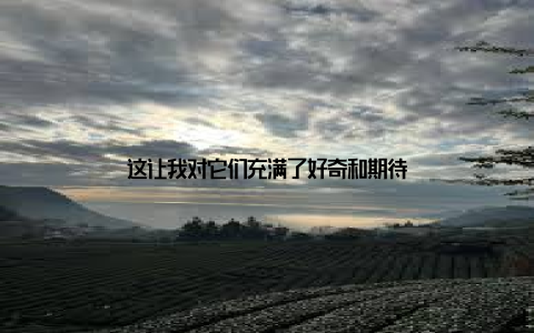 这让我对它们充满了好奇和期待