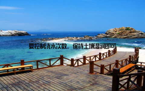 要控制浇水次数, 保持土壤湿润即可