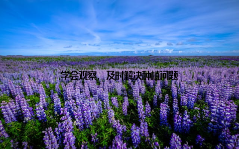 学会观察, 及时解决种植问题