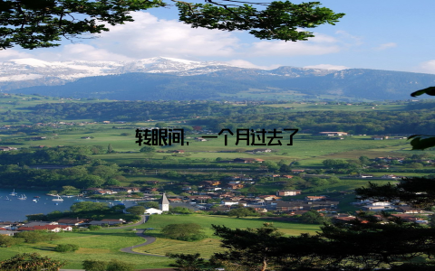 转眼间, 一个月过去了
