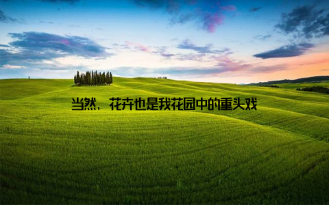 当然, 花卉也是我花园中的重头戏