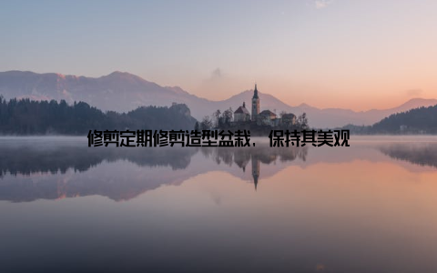 修剪定期修剪造型盆栽, 保持其美观