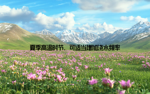 夏季高温时节, 可适当增加浇水频率