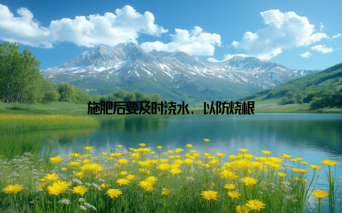 施肥后要及时浇水, 以防烧根