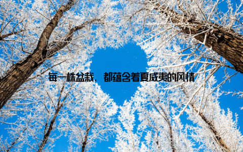 每一株盆栽, 都蕴含着夏威夷的风情