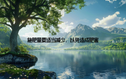 施肥量要适当减少, 以免造成肥害